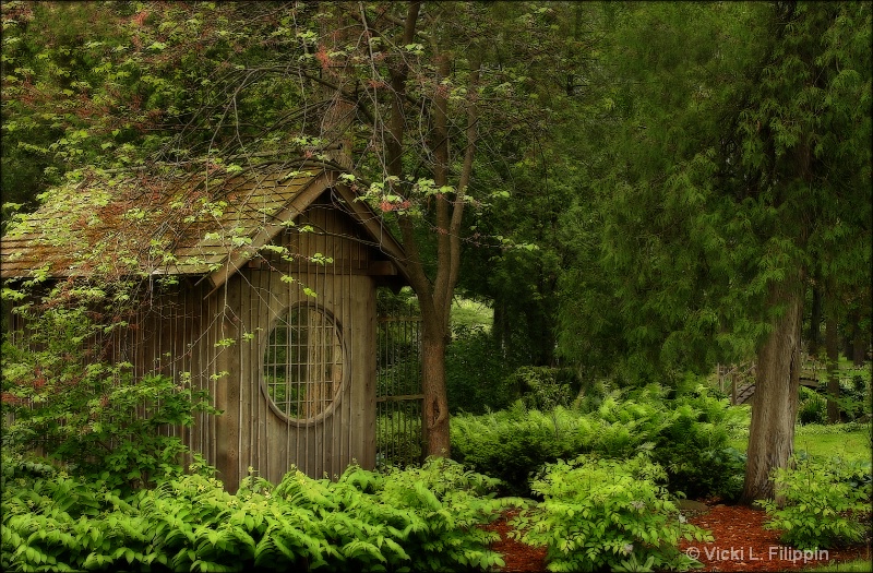 A Quiet Summer Walking Spot