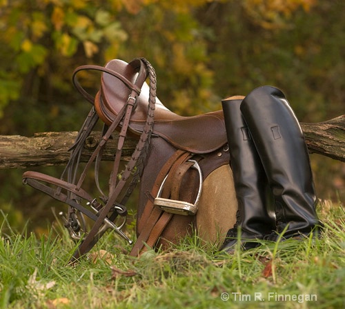 english saddle 2262