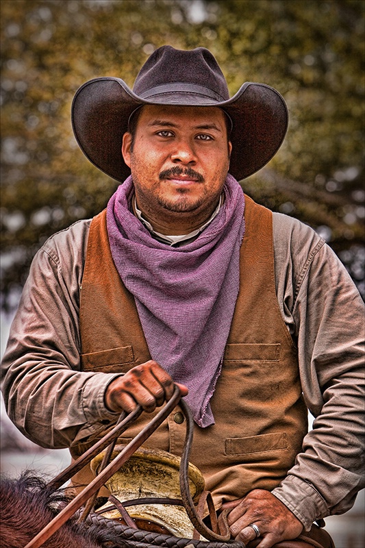 The Cowboy - ID: 8011450 © Jeff Robinson