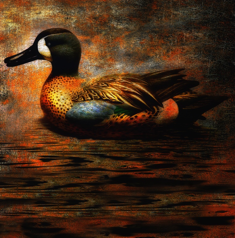 The Mallard