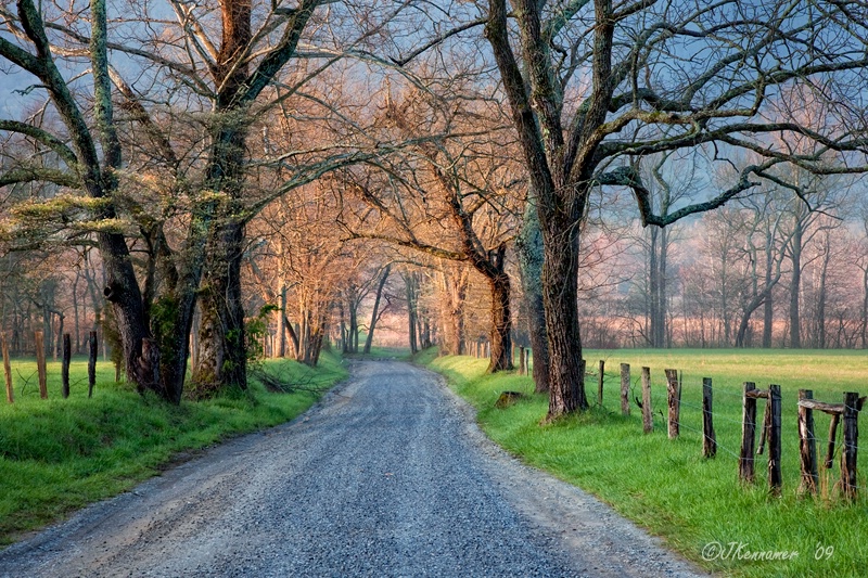 Sparks Lane Sunrise