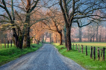 Sparks Lane Sunrise