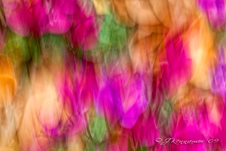 Garden Blur