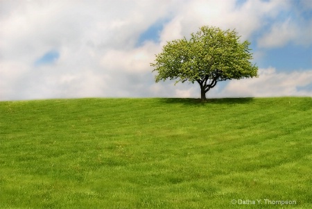 ~ Spring Green ~