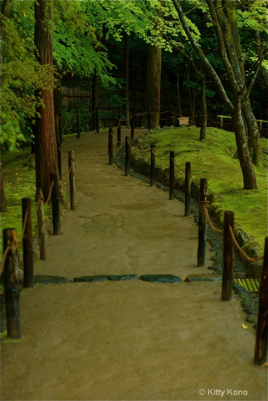 Moss Garden in Kyoto - ID: 8221699 © Kitty R. Kono