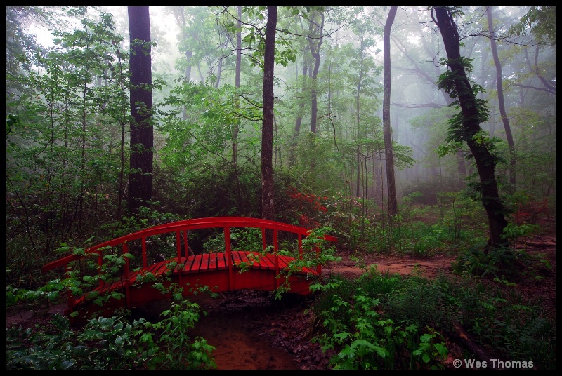 Red Bridge in the Forest.