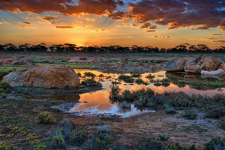 Nullarbor Pool