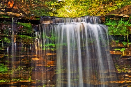 Spring Flow On The Bozenkill