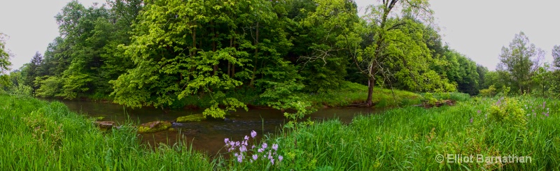 Elk Creek - ID: 8503455 © Elliot Barnathan