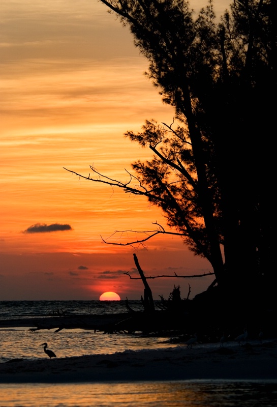 Sunset at Redfish Pass - ID: 8541891 © Michael Cenci