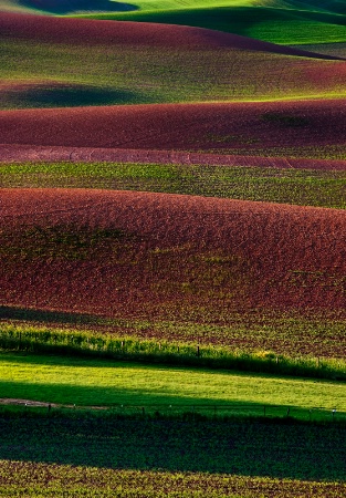 Palouse Layers