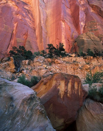 Capitol Reef Rocks