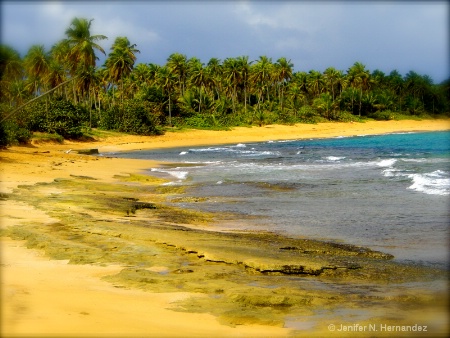 Puerto Rico Paradise