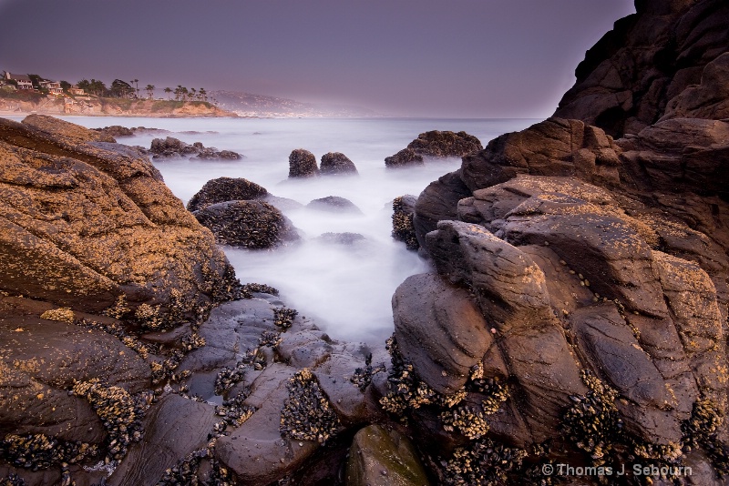 laguna beach tide pools