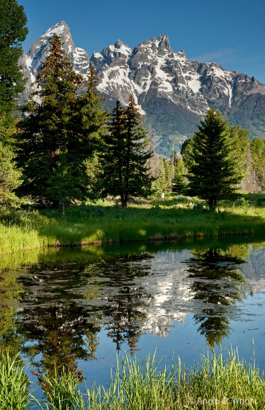 Teton reflection