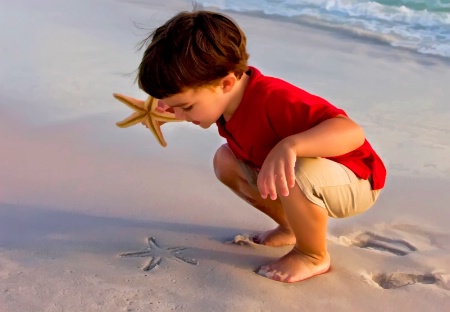 Starfish Discovery