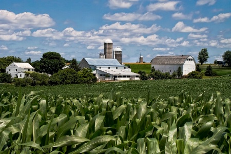 Knee-High...4th of July