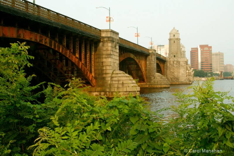 Salt and Pepper Bridge