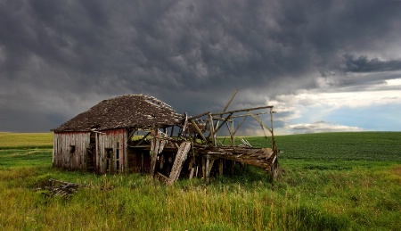 Weathering the Storm