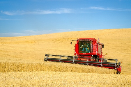 Palouse Wheat Harvest