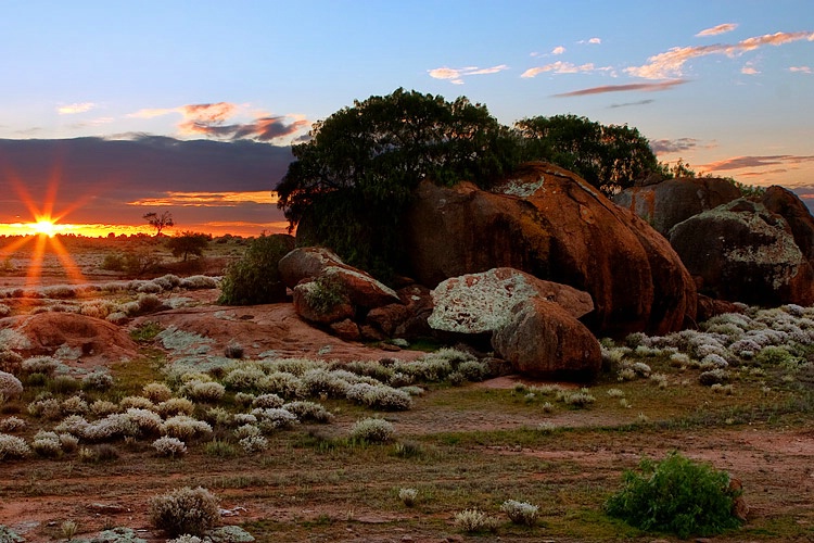 Nullarbor Evening