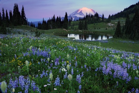 Mt. Rainier sunrise