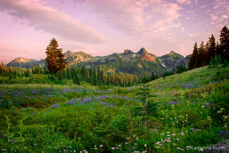 Pinnacle Peak Sunset