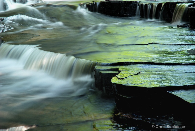 'Reflections of Green'