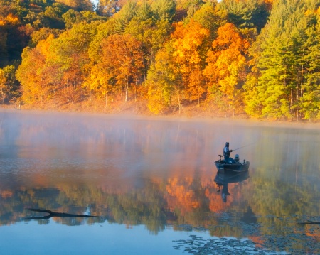 skylight fisherman lake hope