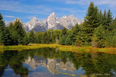 Teton Reflection