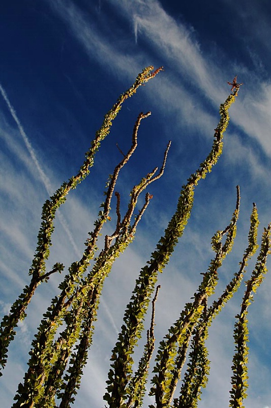 Reaching for the Sky - EP