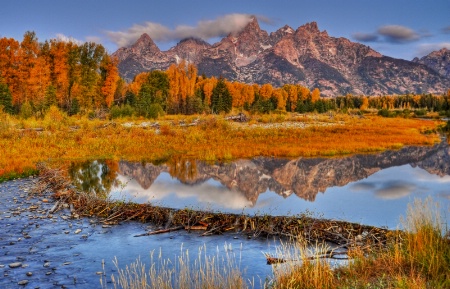 Schwabacher's Landing