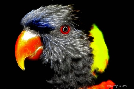 Electrified Lorikeet