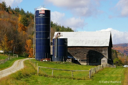 Fall in VT (12)