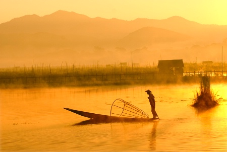 Yellow Morning 