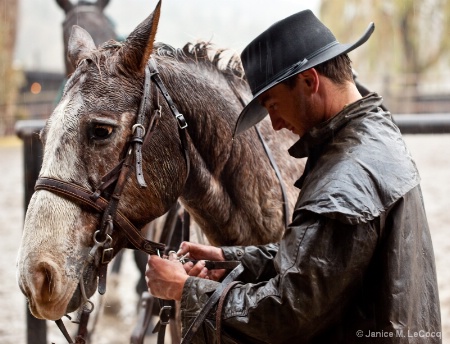 Dude Ranch:  Tacking Up for the Guests