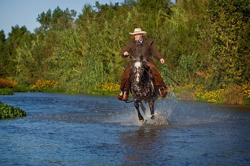 Modern Day Cowboy