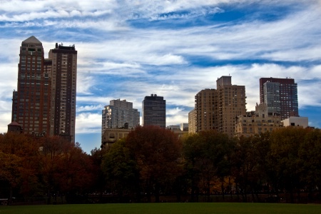 A view from Central Park