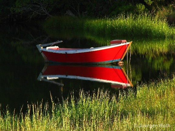 CC-005: Cape Cod  - ID: 9349718 © Juergen Roth