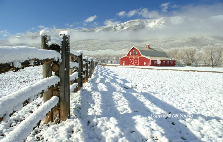 Fence Pattern on Snow