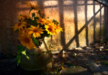 Sunflowers