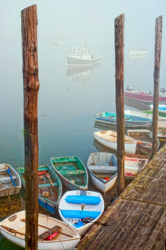 Cape Porpoise: Low Tide and Fog