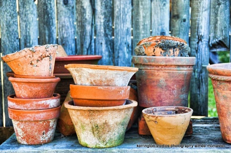 maine pots