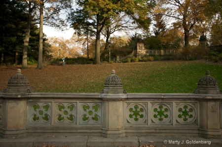 Photographer in park