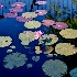 2Pond Art - ID: 9407509 © Steve Abbett