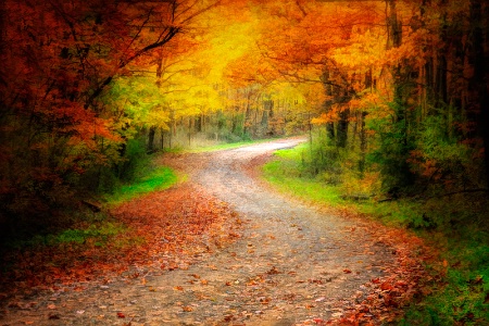 West Virginia Country Road