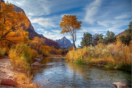 Watchman Tree