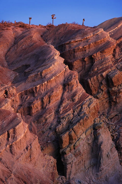 Gold Trimmed Cliffs