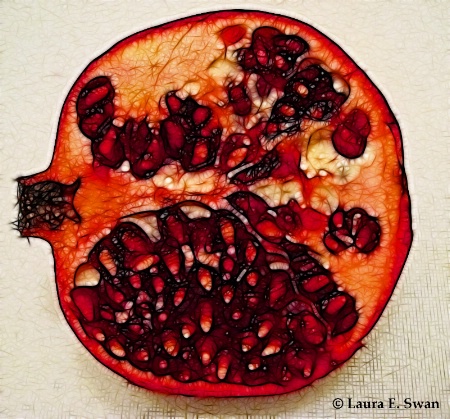 Pomegranate 