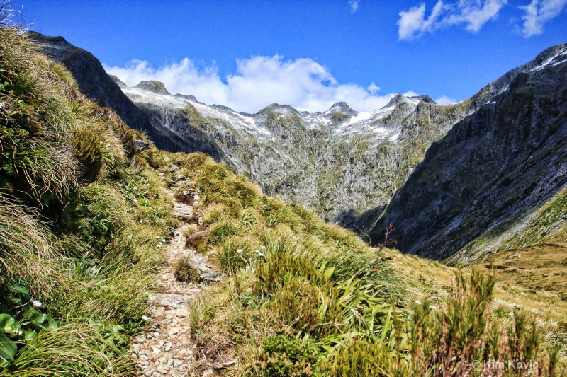 Milford Track Walk - Almost at the Top